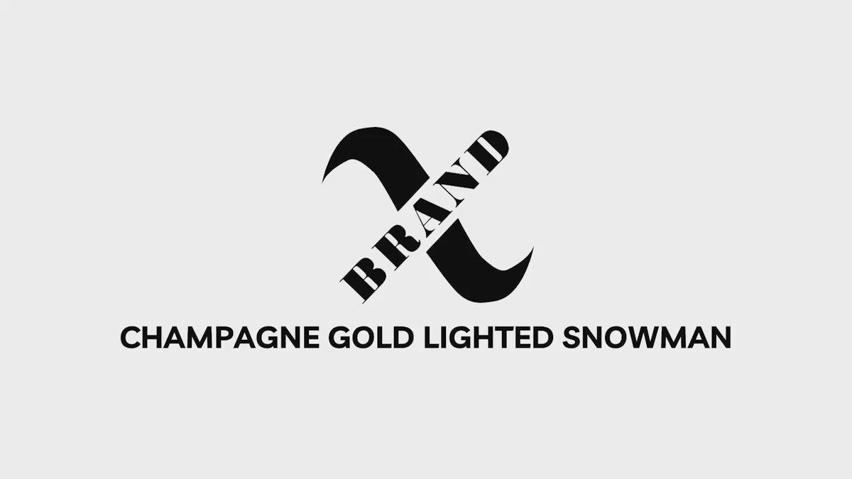 48" Champagne Gold Lighted Snowman with Top Hat, Scarf, and Twig Arms, Warm White LED Lights - video 2